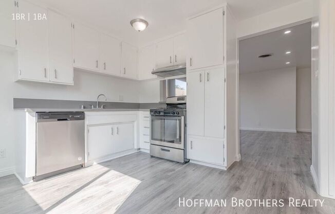 528 ARBOR VITAE ST