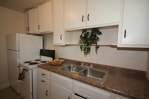 1 bed, 1 bath, 580 sqft, $869, Unit 41C2