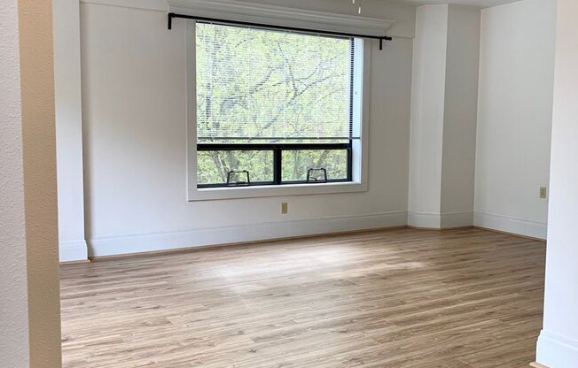 Studio, 1 bath, 527 sqft, $1,495, Unit 0204