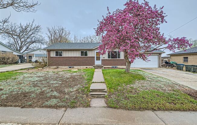 Updated 3Bed/2Bath Ranch with full basement, wood floors, and large fenced-in-yard!