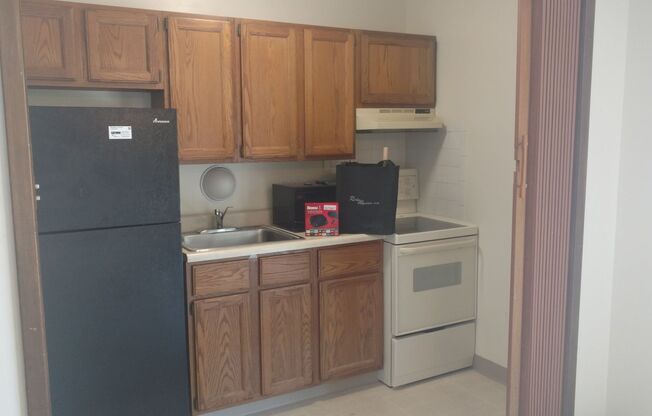 Studio, 1 bath, 350 sqft, $725, Unit 4300 Wyndsor Terrace Building 3 #24