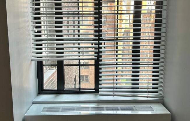 Studio, 1 bath, 300 sqft, $2,750, Unit 917