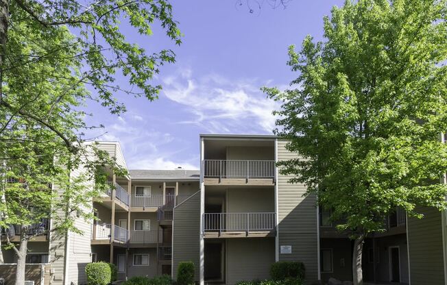 California Place Apartments by Trees