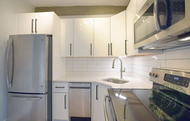 1 bed, 1 bath, 373 sqft, $1,850, Unit 210