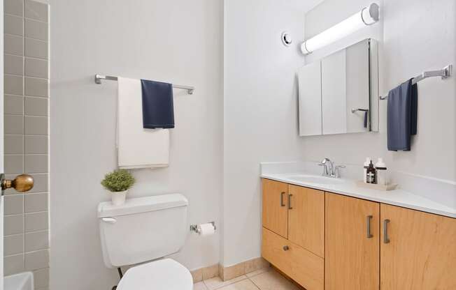 Luxurious Bathroom at Asbury Plaza, Chicago, IL