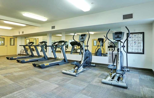 Everett WA Apartments-Linc 245 Apartments Carpeted Gym With Updated Machines And Equipment And Mirrored Wall