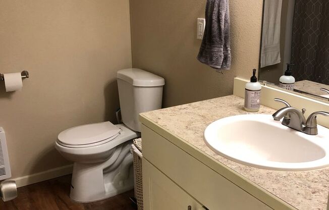 Studio, 1 bath, 550 sqft, $1,395