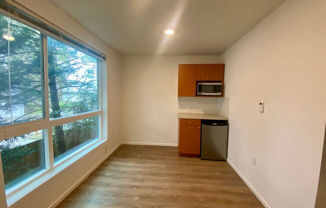 Studio, 1 bath, 189 sqft, $1,325, Unit 4206