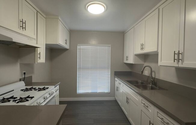 2 beds, 1 bath, $2,350, Unit Y