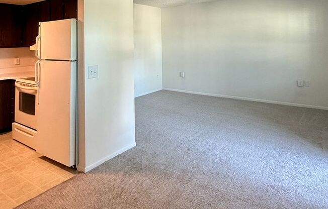 1 bed, 1 bath, 575 sqft, $1,300, Unit 1706