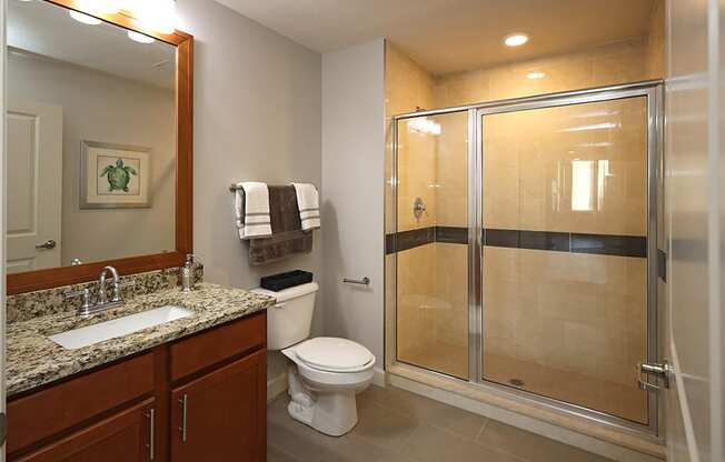 Updated Model Suite at Residences at 1717 Cleveland OH - Master Bathroom