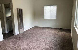 2 beds, 1 bath, $1,199