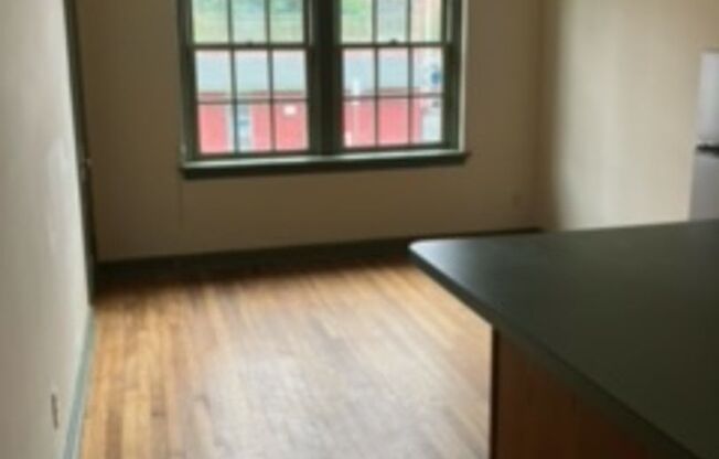 1 bed, 1 bath, $950, Unit Apt 1