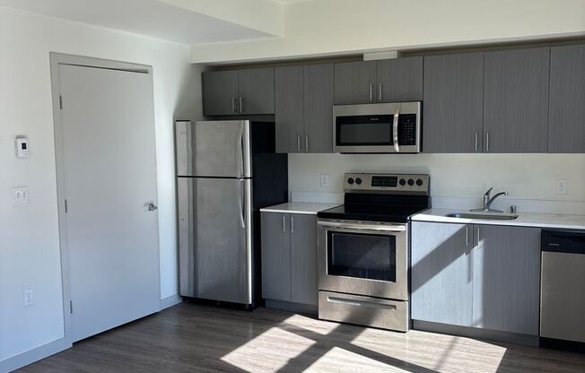 Studio, 1 bath, 306 sqft, $1,200, Unit 207