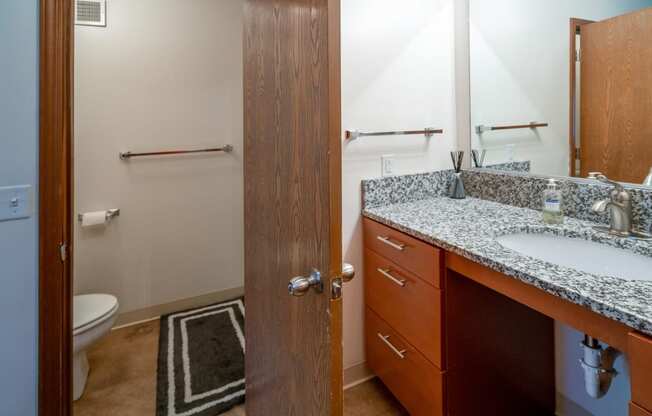 Upgraded Bathroom Fixtures at Raleigh House Apartments, MRD Apartments, East Lansing, MI