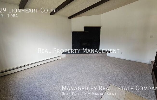 329 LIONHEART CT