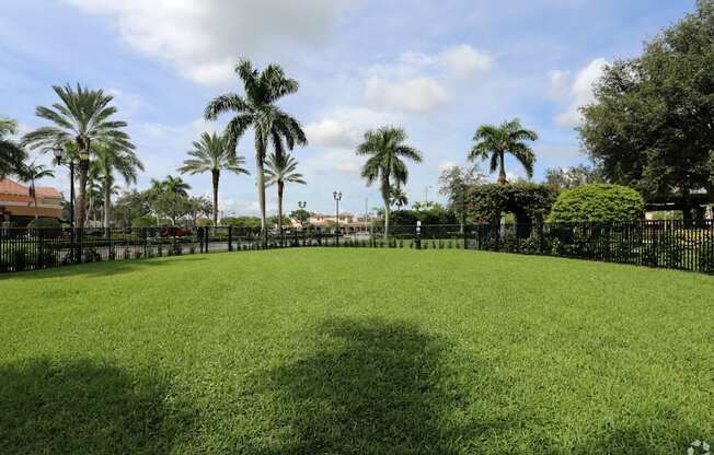 a lush green park with palm trees and a black fence
