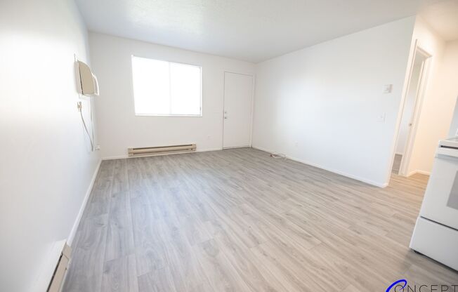 1 bed, 1 bath, 480 sqft, $920, Unit 162