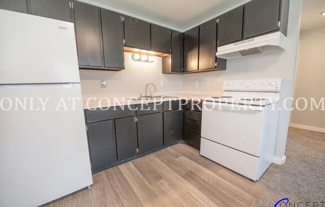 1 bed, 1 bath, 480 sqft, $920, Unit 162