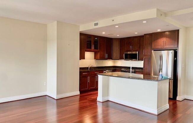 Beautiful 1 BR plus den 2 BA luxury condo on 17th floor. Walk to Metro and all amenities