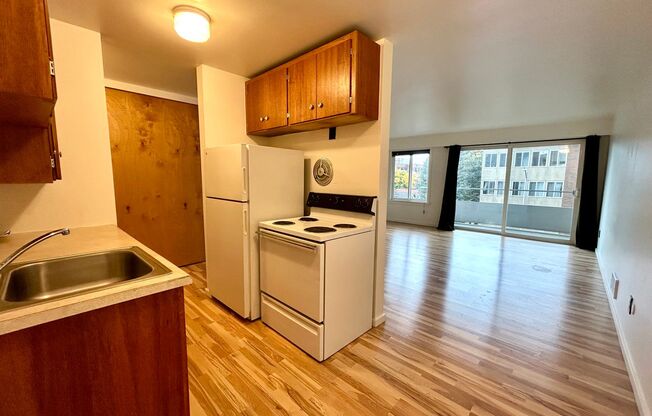 Studio, 1 bath, 464 sqft, $1,495, Unit 310