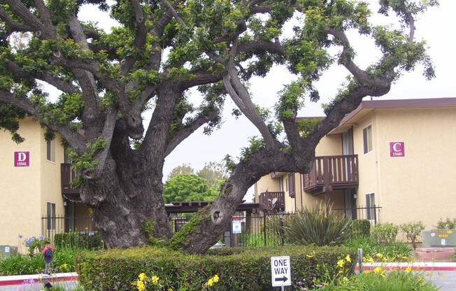 2 beds, 1 bath, 910 sqft, $2,525, Unit Q004