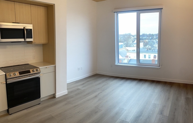 Studio, 1 bath, 387 sqft, $2,450, Unit 507