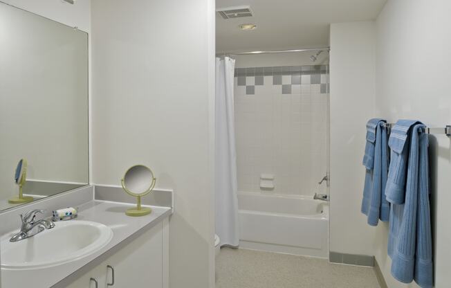 a bathroom with a sink and a shower and a mirror at Tindeco Wharf, Maryland