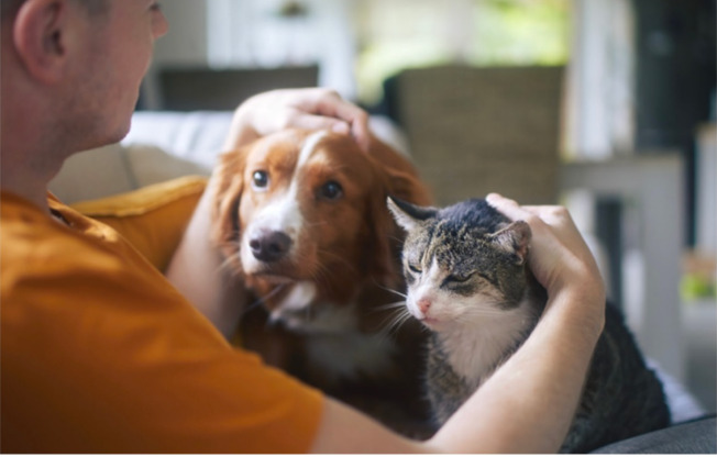 2 beds, 2 baths, 900 sqft, $1,599, Unit 1302