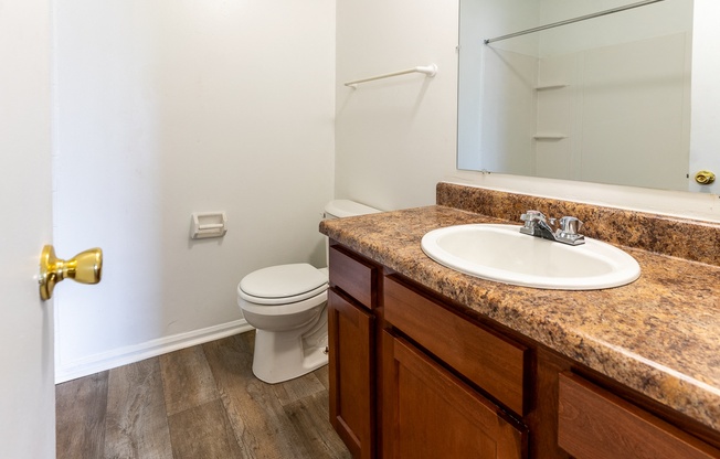 a bathroom with a sink and toilet and a mirror