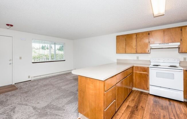 Large One Bedroom Close to Vancouver Mall