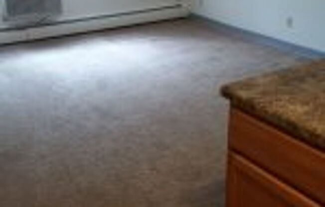 Studio, 1 bath, 350 sqft, $1,115, Unit 121-2B