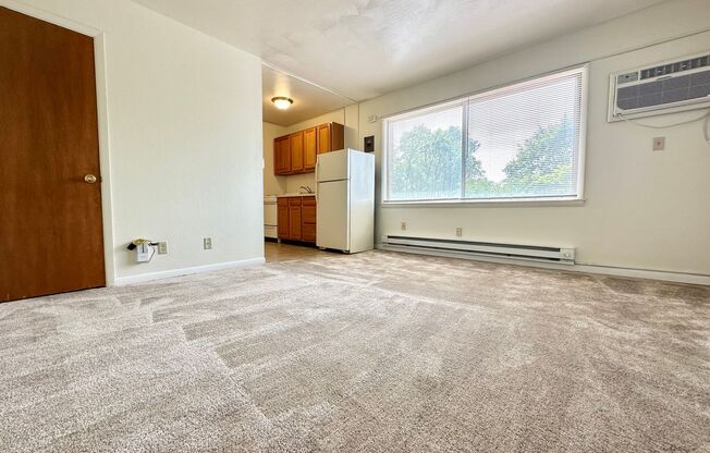 Studio, 1 bath, 308 sqft, $724, Unit 6