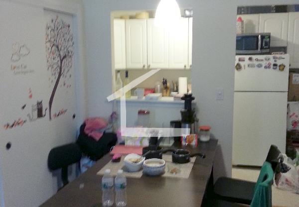 26 Allston St, Allston MA 6