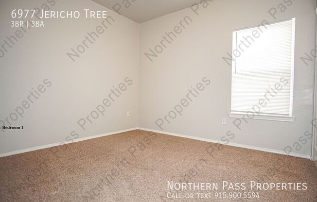 6977 JERICHO TREE