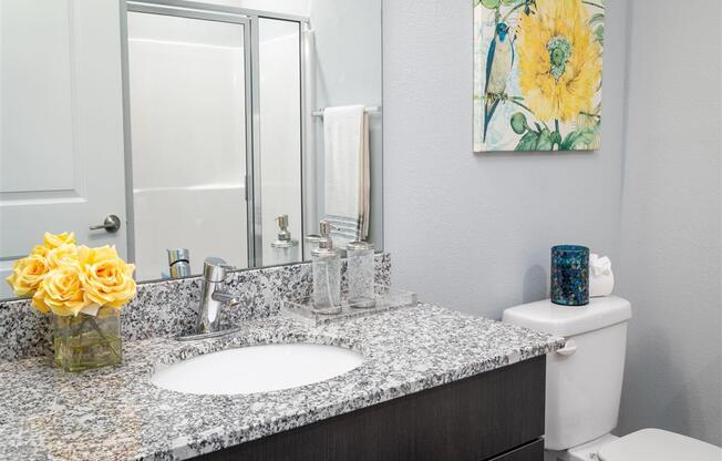 a bathroom with a granite counter top and a mirror