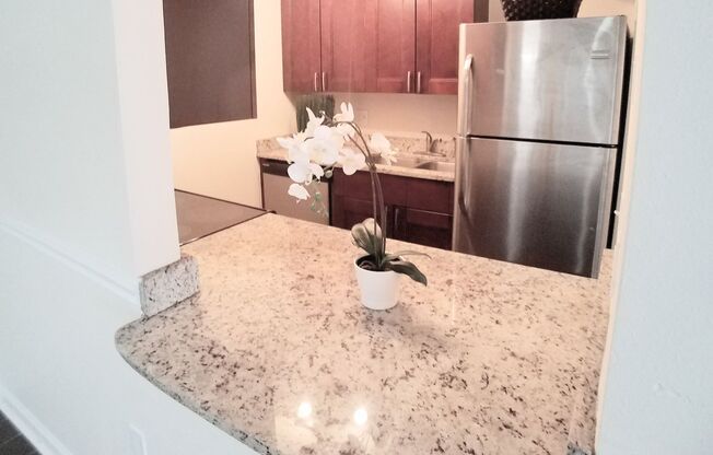 Stunning 1/1 All Remodeled Condo for rent Close to Downtown Orlando.