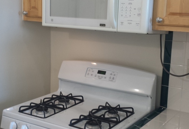 Studio, 1 bath, 450 sqft, $1,695, Unit 14