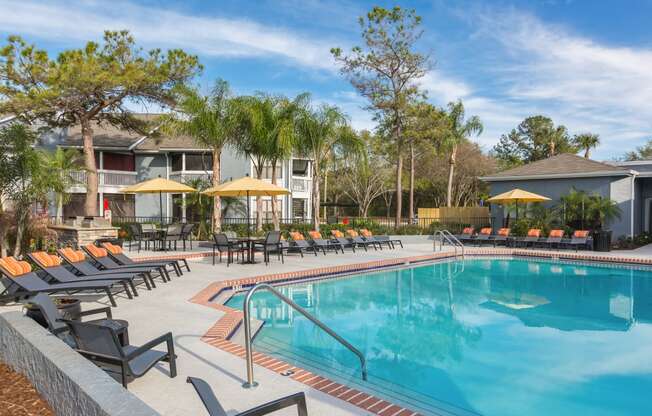 Swimming Pool at Northgreen at Carrollwood Apartments in Tampa, FL