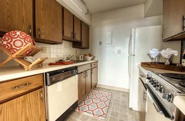 Classic apartment  kitchen
