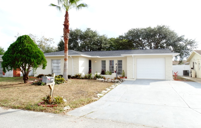 Newly Renovated Spacious 3/2/1 In Port Richey