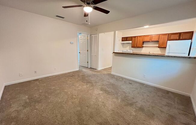 1 bed, 1 bath, $999, Unit Apt 3