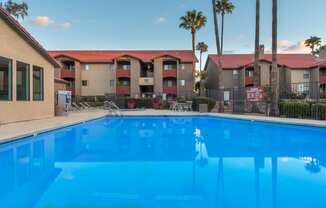 Enclave sparkling pool view with trees surrounding and lounge area