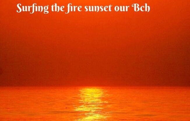 3 beds, 2 baths, 1,200 sqft, $3,495, Unit 221