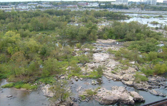 1 bed, 1 bath, $1,600