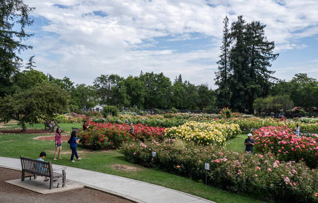 Riverside Park & Heritage Rose Garden Within Walking Distance at Pavona Apartments, 760 N. 7th Street, CA