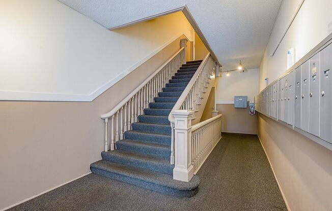 Studio, 1 bath, 334 sqft, $1,250, Unit 407