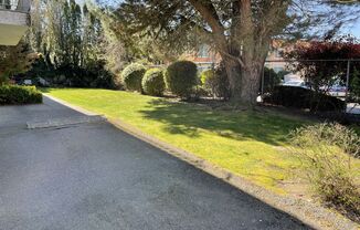 2 beds, 1 bath, 800 sqft, $1,775, Unit 203