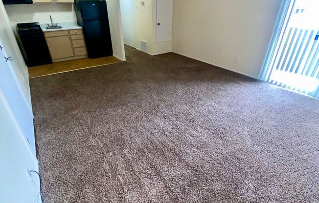 Studio, 1 bath, 445 sqft, $794, Unit 242