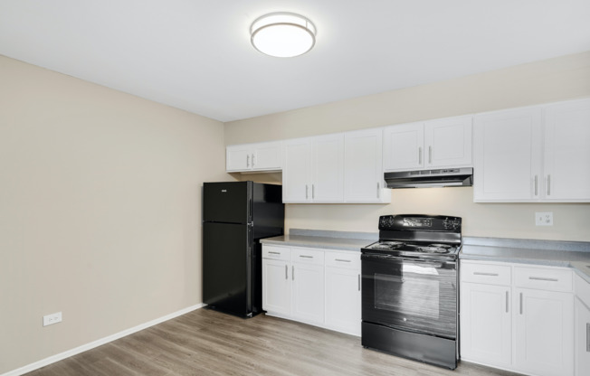 Modern Kitchen | Apartment For Rent in Mount Prospect, Illinois | The Element